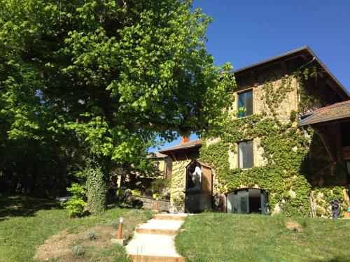 Фотография гостевого дома Lodges Lao