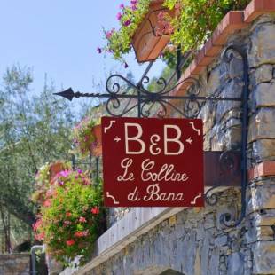 Фотографии мини отеля 
            B&B Le Colline di Bana Camogli