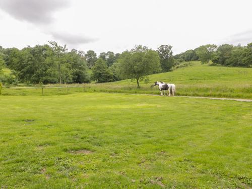 Фотография гостевого дома Bluebell