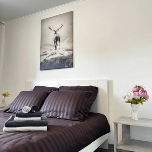 Фотография квартиры Апартаменты Уютная Квартира на Рыбной Деревне