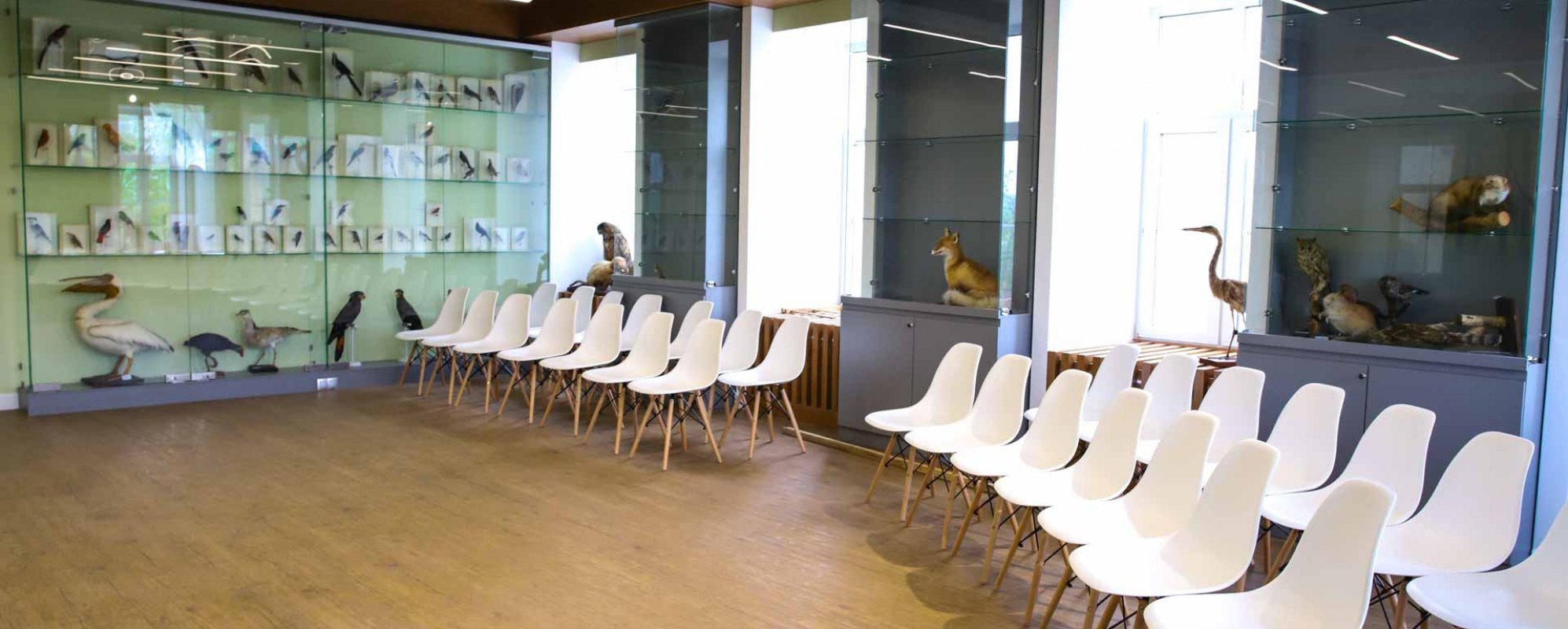 Фотографии конференц-зала Точка кипения Мининский университет