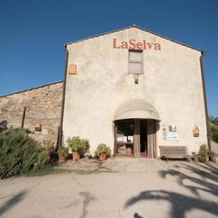 Фотографии базы отдыха 
            LaSelva