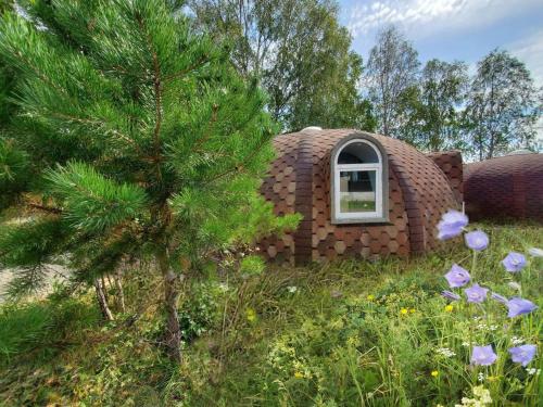 Фотографии базы отдыха
Тенгри