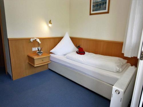 Фотография гостиницы Hotel Faller