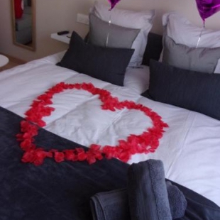 Фотография гостиницы Le Bourget - Envolée Romantique