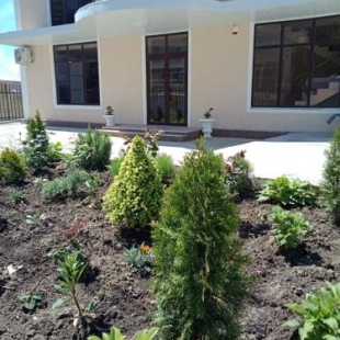 Фотография гостевого дома Новый AlMar