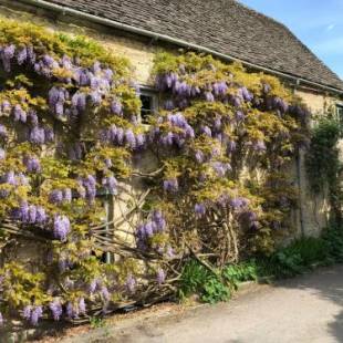 Фотографии мини отеля
Pytts House Boutique Bed & Breakfast