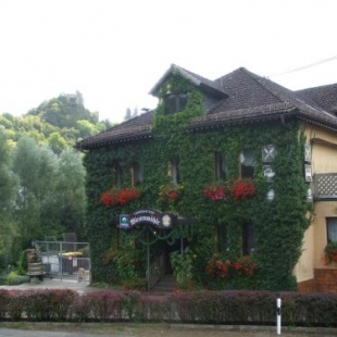 Фотография гостевого дома Landgasthof Wiesenmühle