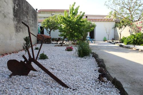 Фотография мини отеля B&B Catedda