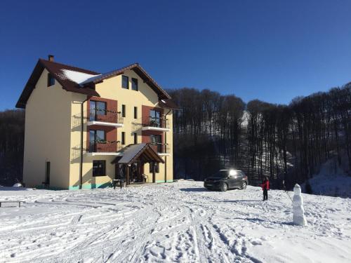 Фотография гостевого дома Pensiunea 7 Brazi II