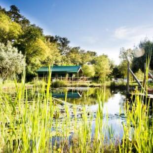 Фотографии гостевого дома 
            Figueirinha Ecoturismo