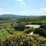 Фотография базы отдыха Agriturismo Vedova