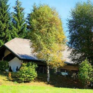 Фотографии гостевого дома 
            Amadeus Black Forest Mountain Chalet