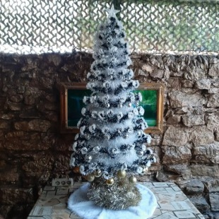 Фотография Коттеджа Частный дом Княжна Мери