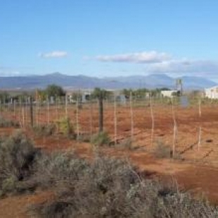 Фотография базы отдыха Natures Rest Lapa