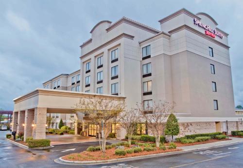 Фотография гостиницы SpringHill Suites by Marriott Charlotte Airport