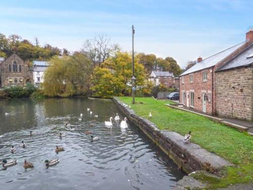 Фотографии гостевого дома 
            Smithy Cottage on the Mill Pond