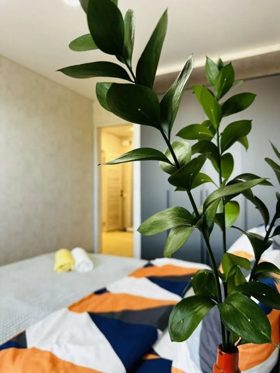 Фотография квартиры Квартира Кoмфорт Клaсcа