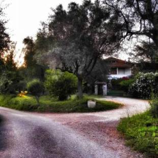 Фотографии мини отеля
MeraVilla