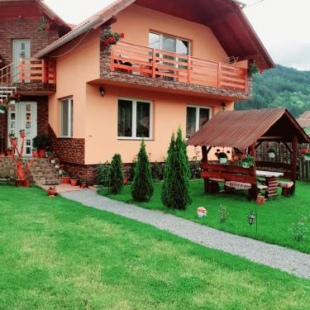 Фотография гостевого дома Casa de Oaspeti Cristian