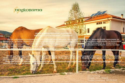 Фотография гостиницы Hotel Podkovata