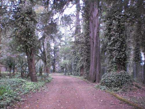 Фотография кемпинга Cabañas y habitaciones Los Cedros