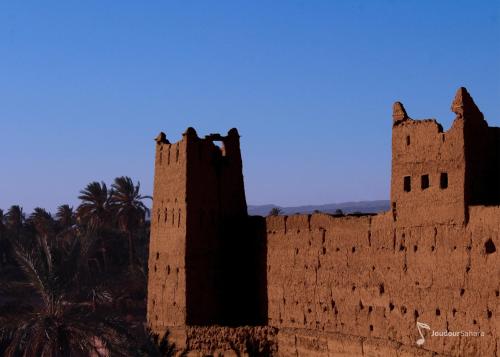 Фотография базы отдыха Bivouac Joudour Sahara