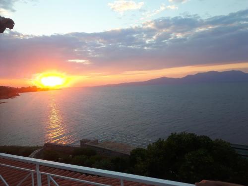 Фотография гостевого дома Epipleon suites