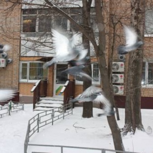 Фотография хостела Лен Инн Люкс