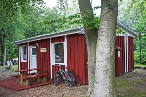 Фотография гостевого дома Seestern - 60736