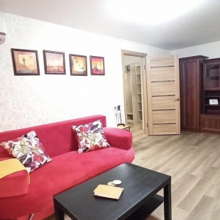 Фотография квартиры Диван и чемодан на Красном проспекте 59