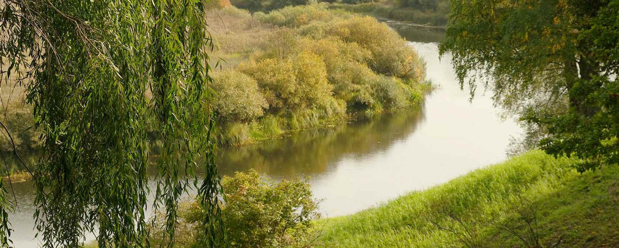Фотографии гостевого дома 
            Дом на Тригорской