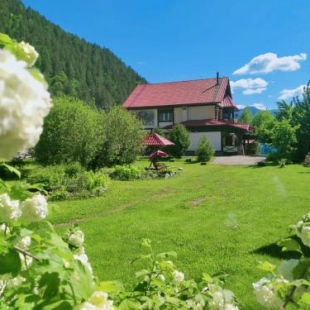 Фотография Коттеджа Меркурий Алтай