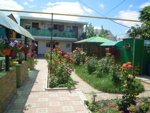 Фотография мини отеля АЛЕКСАНДРиЯ