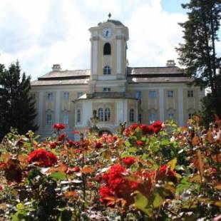 Фотографии гостиницы 
            Schlosshotel Rosenau Superior