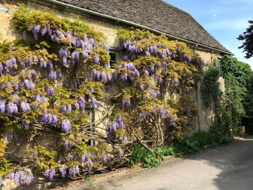 Фотография мини отеля Pytts House Boutique Bed & Breakfast