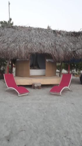 Фотография базы отдыха Glamping UVA Playa