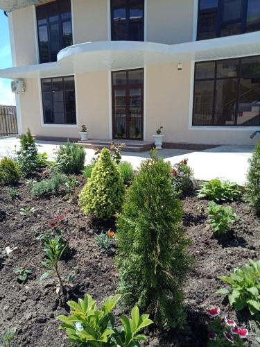 Фотография гостевого дома Новый AlMar