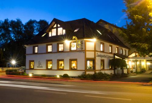 Фотография гостиницы Hotel Landgasthof Schwanen