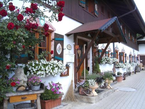 Фотография гостевого дома Pension Louise