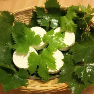 Фотографии базы отдыха
Agriturismo San Giusto