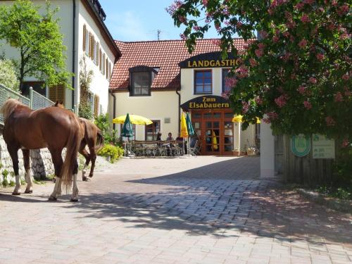Фотография гостевого дома Landgasthof Zum Elsabauern
