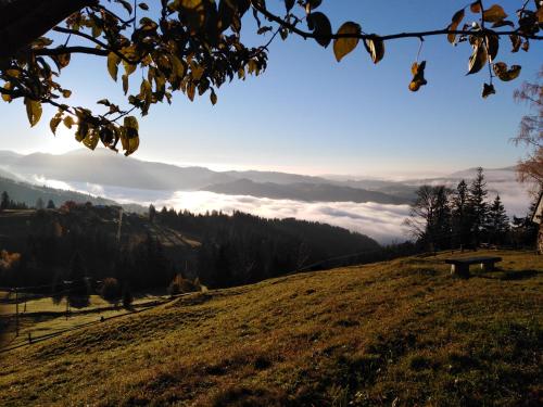 Фотографии гостевого дома
Дом для отпуска Эдельвейс