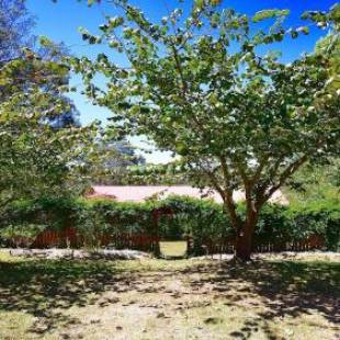 Фотографии гостевого дома
Shiralee's Rest of Katoomba