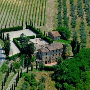 Фотографии мини отеля
Rocca degli Olivi