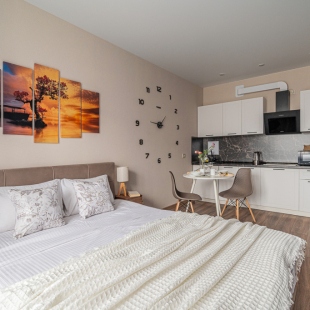 Фотография квартиры Апартаменты 202 Успенский проспект 113Д