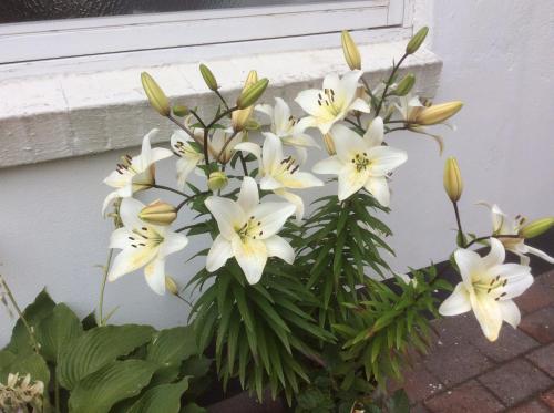 Фотография гостевого дома Vandkanten