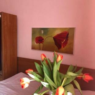 Фотографии гостиницы
Hotel Haga