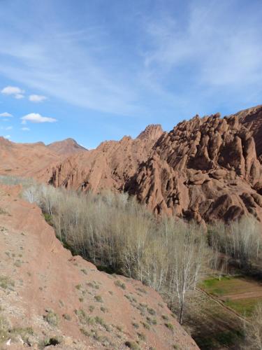 Фотография мини отеля maison isabel