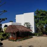 Фотография мини отеля Papaya Villa